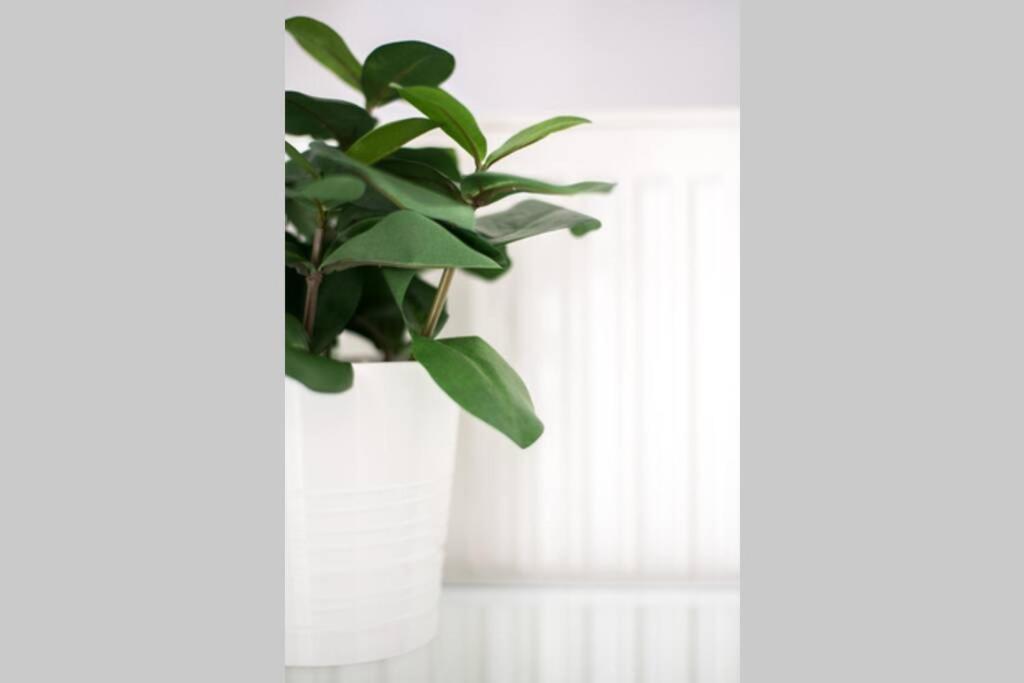 Your Cozy Downtown Home - Apartment لاريسا المظهر الخارجي الصورة